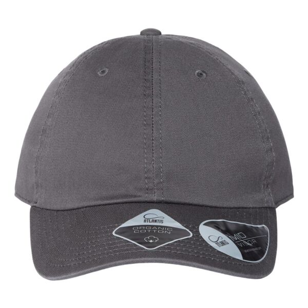 Sustainable Dad Hat Thumbnail